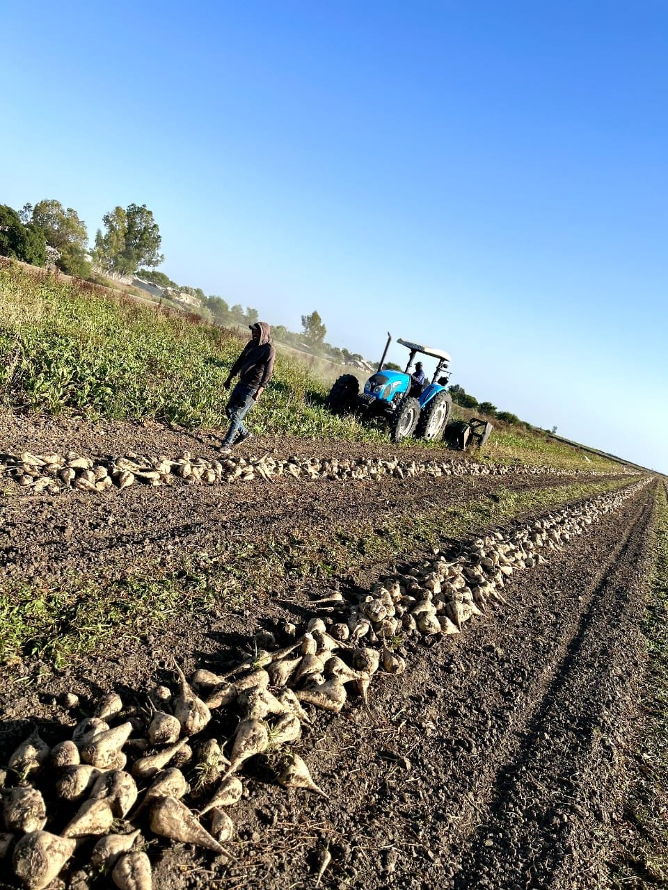 WhatsApp Image 2024-04-16 at 23.56.10