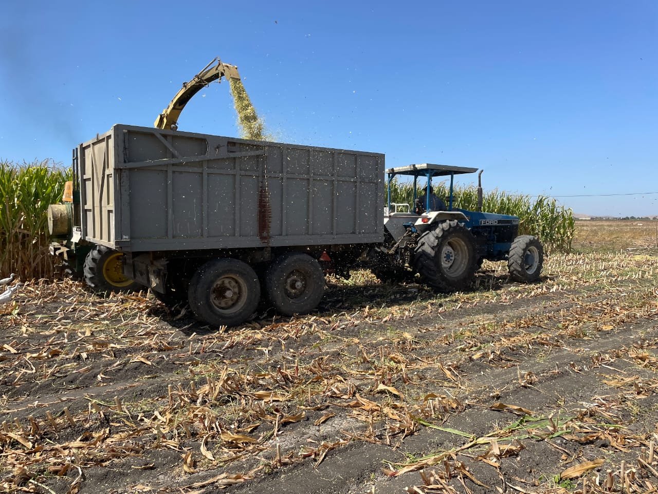 WhatsApp Image 2024-04-16 at 23.56.11 (1)