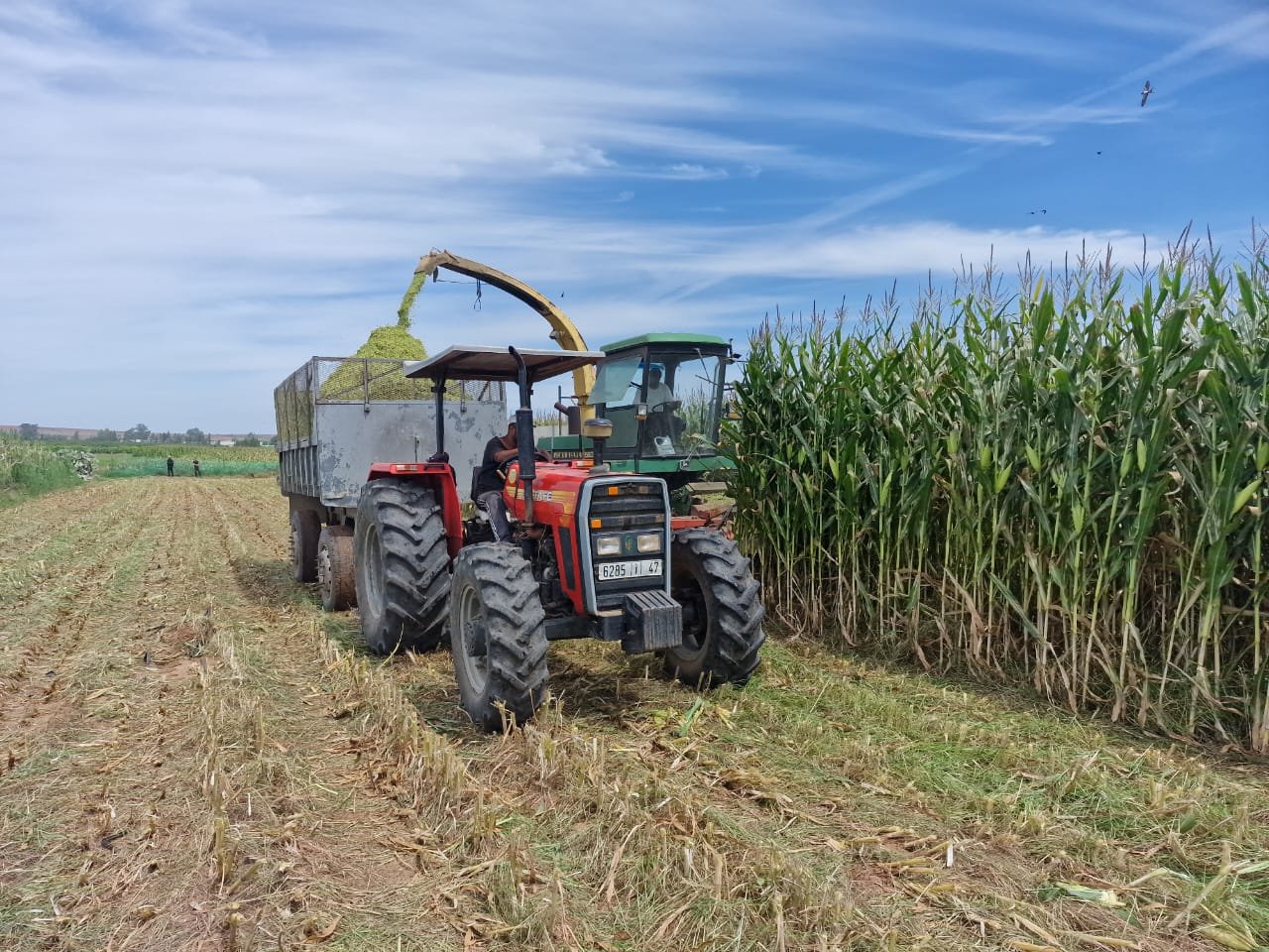 WhatsApp Image 2024 04 16 at 23.56.11 2