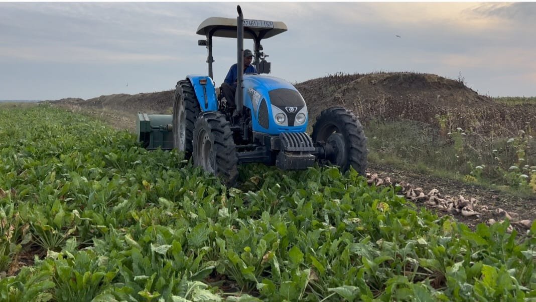 WhatsApp Image 2024-04-16 at 23.56.12 (2)