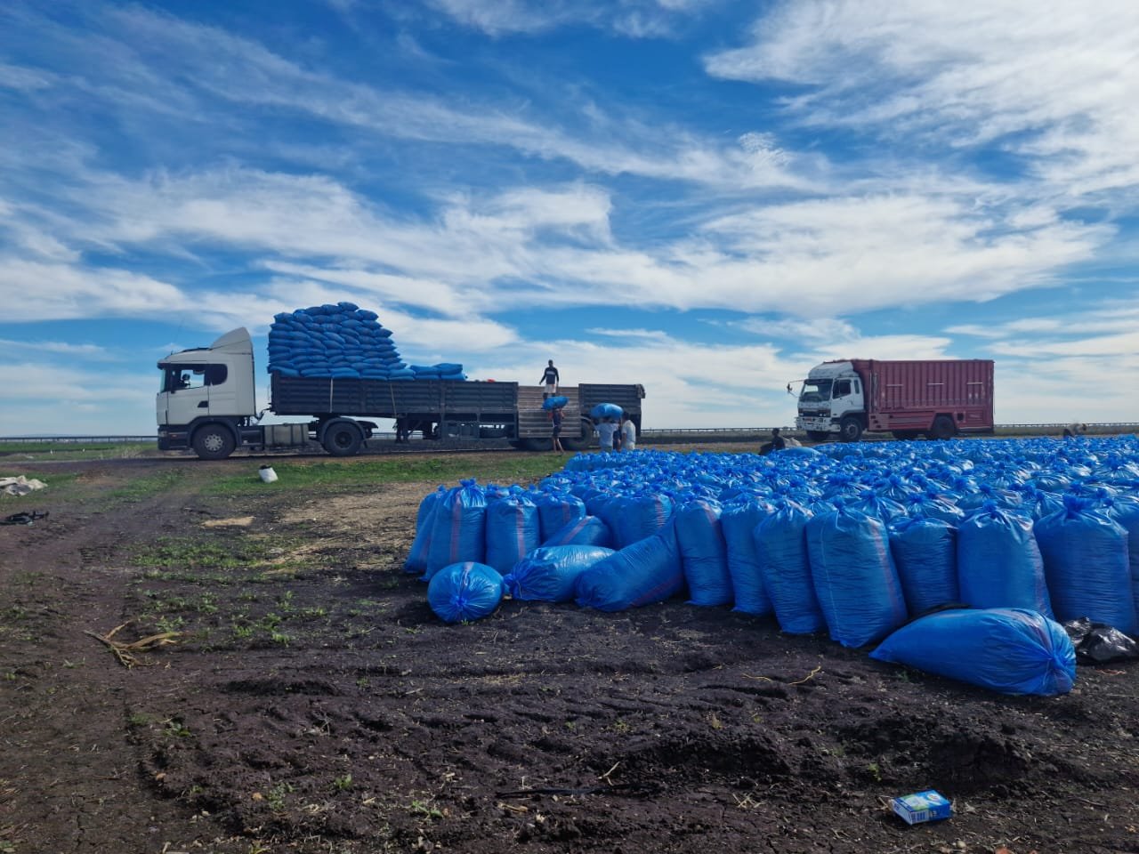 WhatsApp Image 2024-04-16 at 23.56.12