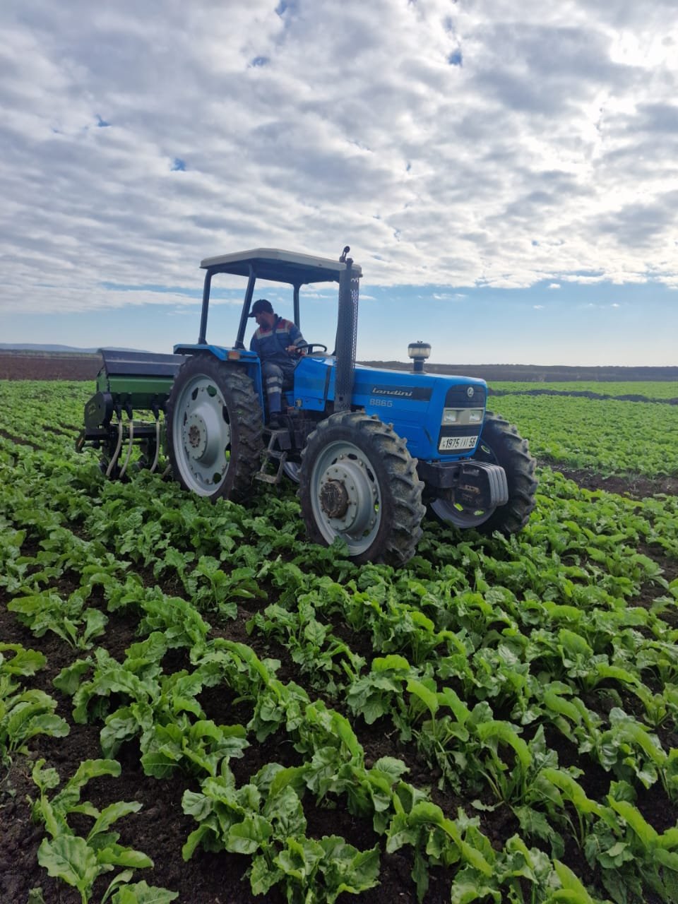 Bineusse 7 WhatsApp Image 2024-04-16 at 23.56.56 (1)