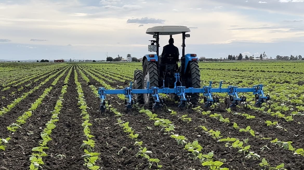 Bineusse 6 WhatsApp Image 2024-04-16 at 23.56.56