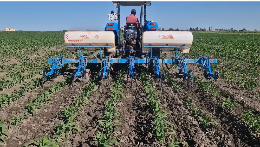 Bineusse 4 WhatsApp Image 2024-04-16 at 23.56.57 (1)