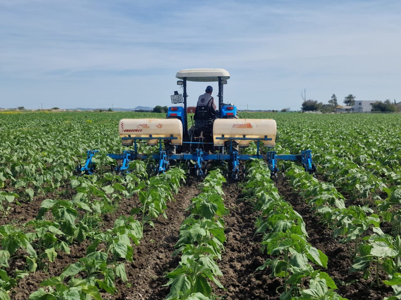 Bineusse 5 WhatsApp Image 2024-04-16 at 23.56.57