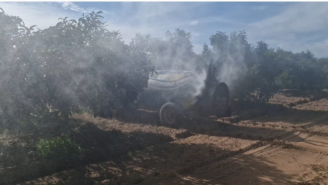 WhatsApp Image 2024-04-16 at 23.57.46 (2)