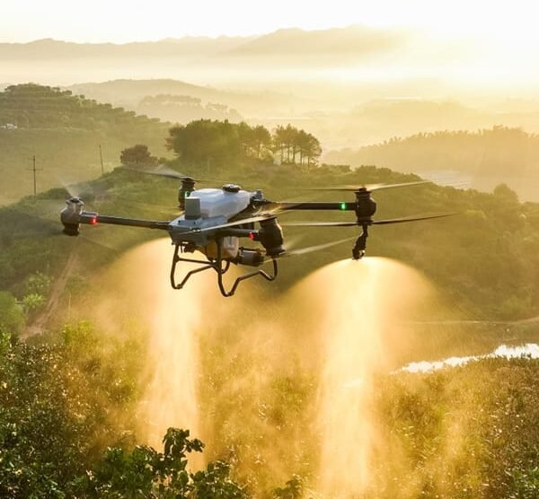 WhatsApp Image 2024-04-16 at 23.57.46