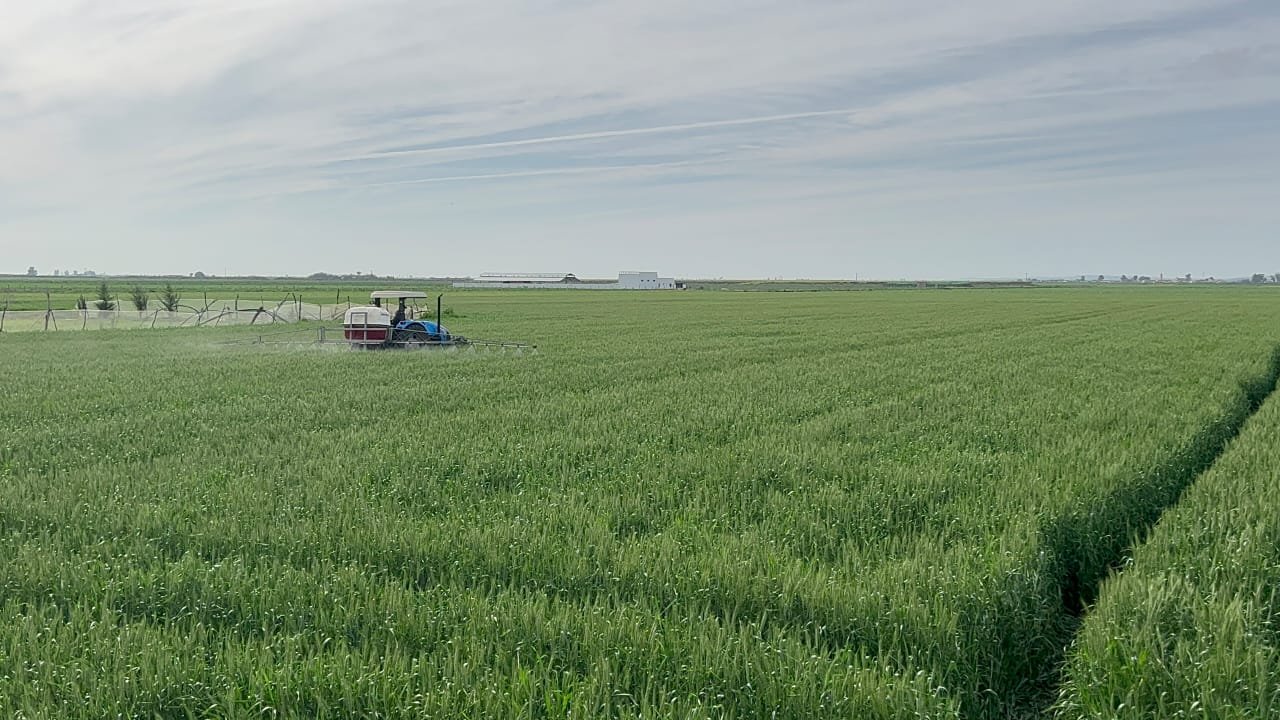 WhatsApp Image 2024-04-16 at 23.57.47 (1)