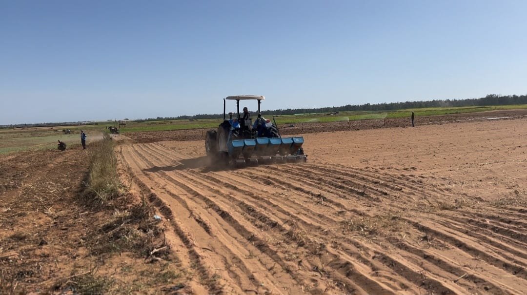 WhatsApp Image 2024-04-16 at 23.58.15 (1)