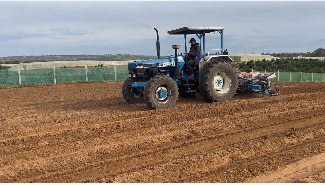 WhatsApp Image 2024-04-16 at 23.58.15 (2)