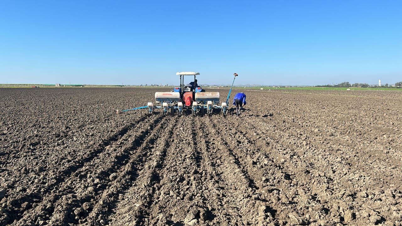 WhatsApp Image 2024-04-16 at 23.58.17 (1)