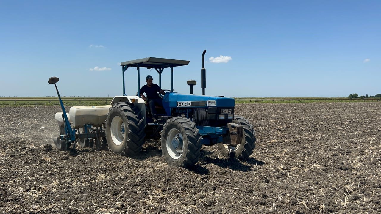 WhatsApp Image 2024-04-16 at 23.58.17