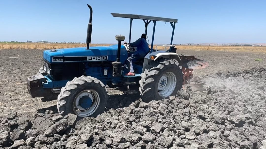 WhatsApp Image 2024-04-16 at 23.59.00 (1)