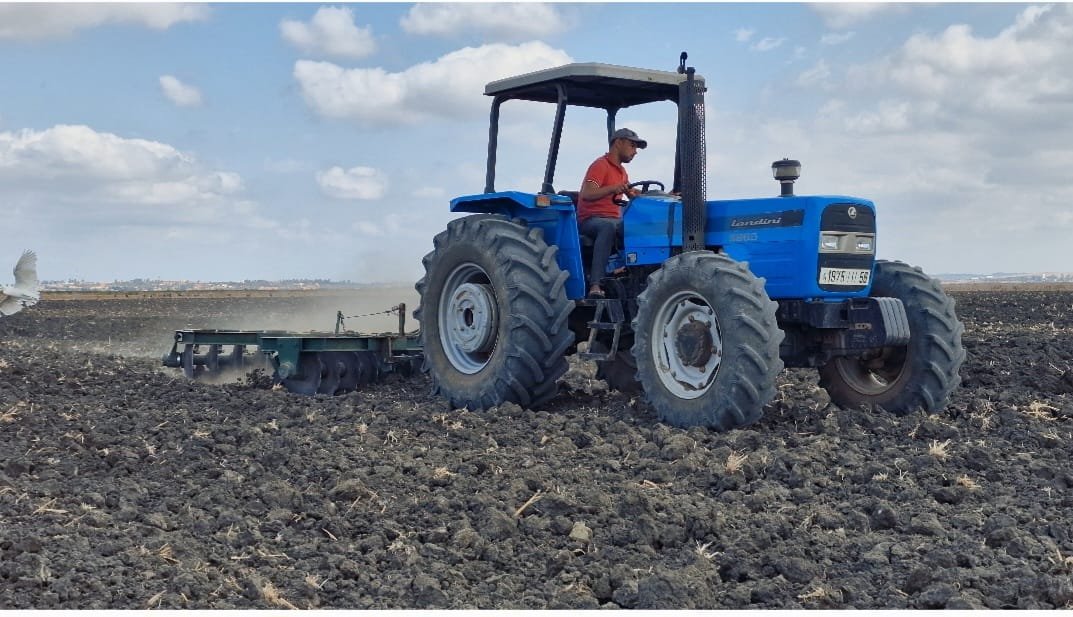 WhatsApp Image 2024-04-16 at 23.59.00