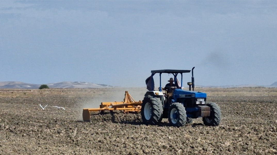 WhatsApp Image 2024-04-17 at 00.01.02